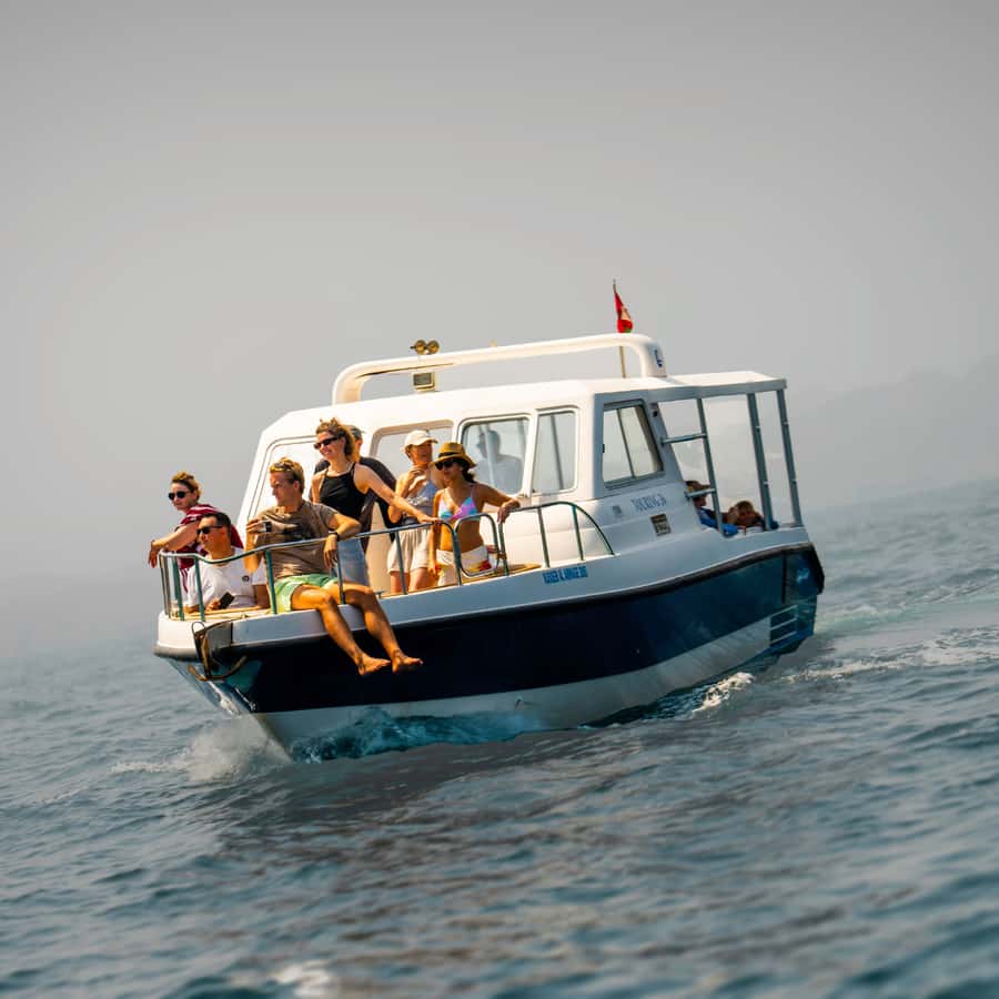 Muscat: Dolphin Watching and Snorkeling Trip - One hour in the water for snorkeling