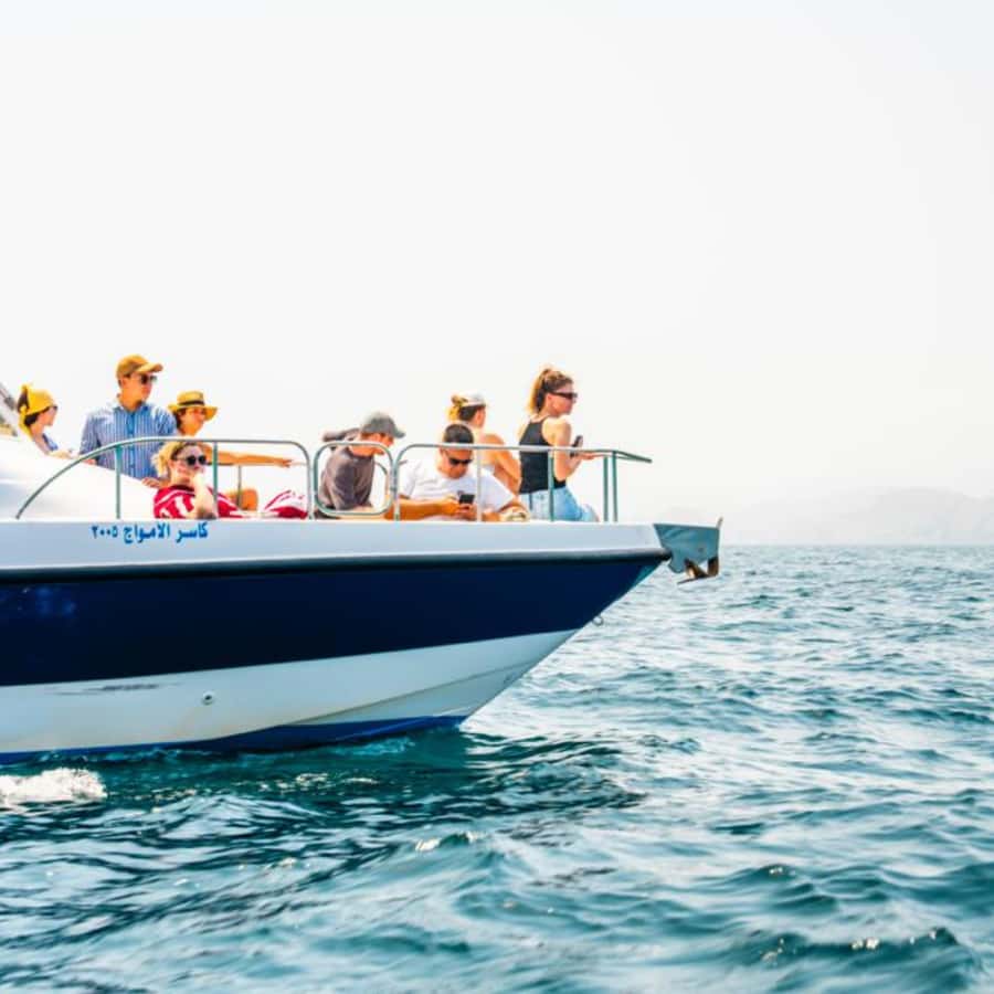 Muscat: Dolphin Watching and Snorkeling Trip - What the $57 price covers