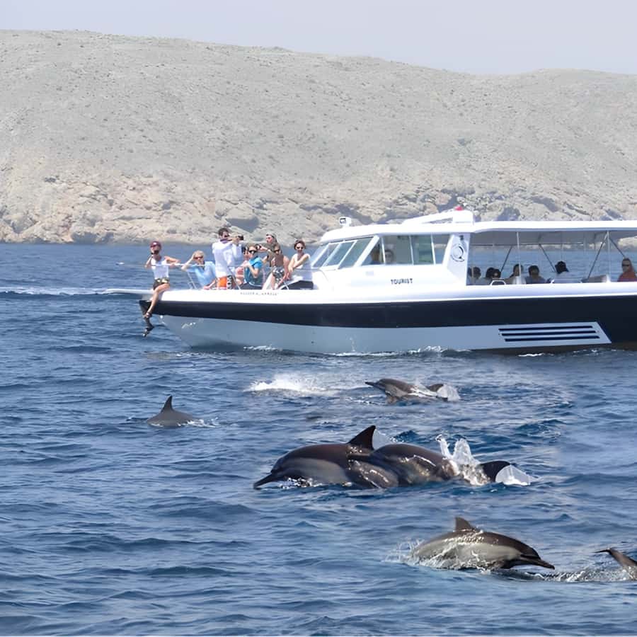 Muscat: Dolphin Watching and Snorkeling Trip - Who will enjoy this Muscat boat trip