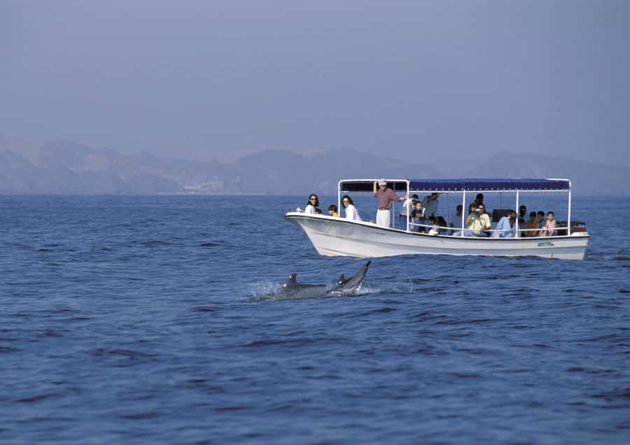 Muscat: Dolphin Watching Boat Amazing Trip - The value of $28, plus the extra charge