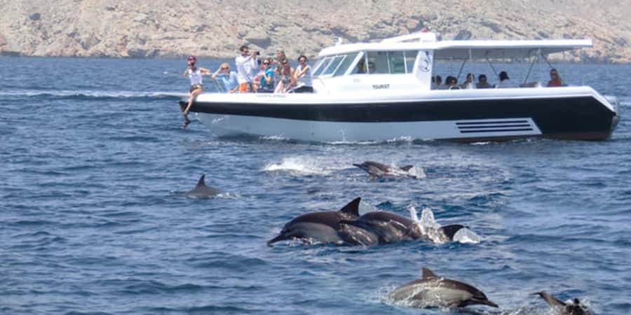 Muscat: Dolphin Watching Boat Tour - Key points before you book