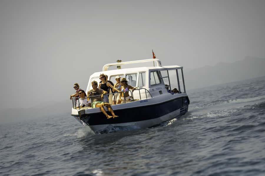 Muscat: Dolphin Watching Boat Trip with Snacks & Local Guide - Key points to know before you book