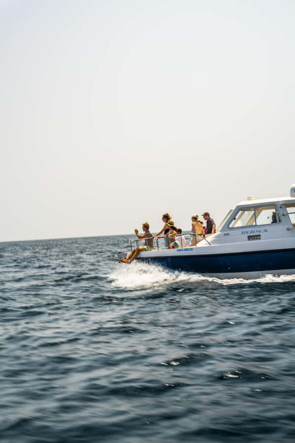 Muscat: Dolphin Watching Boat Trip with Snacks & Local Guide - Setting out from Marina Bandar al Rowdha