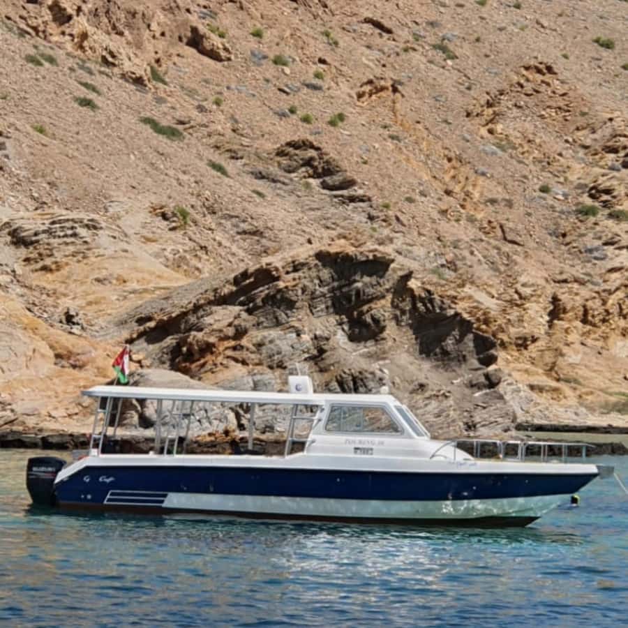 Muscat: Dolphin Watching Boat Trip with Snacks & Local Guide - Timing, pickup, and small practical details