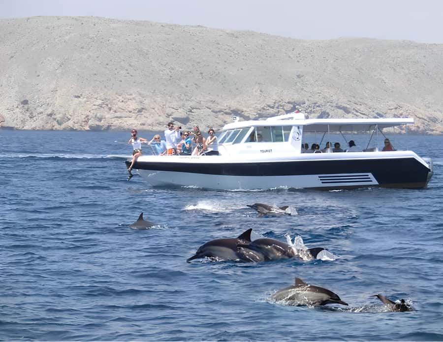 Muscat: Dolphin Watching Boat Trip with Snacks & Local Guide - Finding dolphins in Muscat’s coastal waters