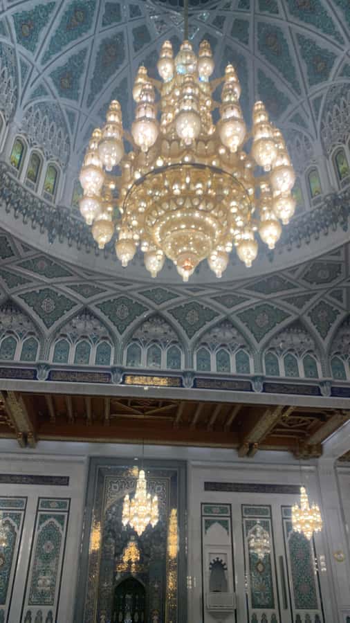 Muscat: Evening Group City Guided Tour with Free Dinner - Muscat after sunset, from mosque to seaside