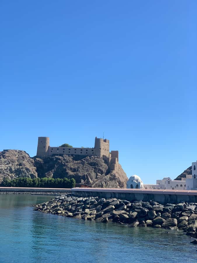 Muscat: Evening Group City Guided Tour with Free Dinner - The Corniche and Old Mutrah Fish Market