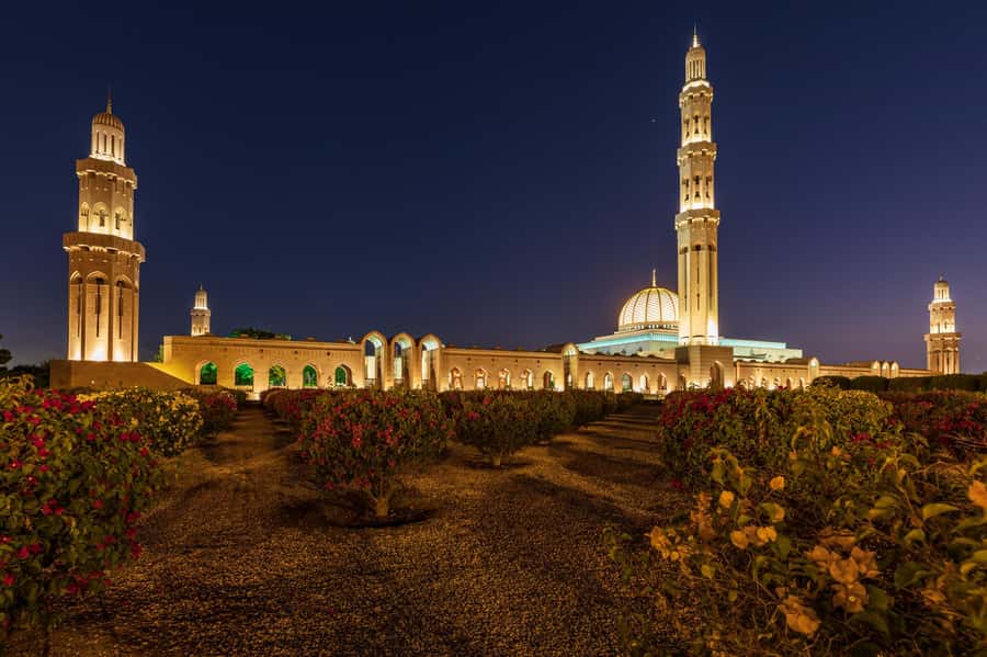 Muscat: Evening Guided City Highlights Tour by Van - Sultan Qaboos Grand Mosque: a powerful first stop