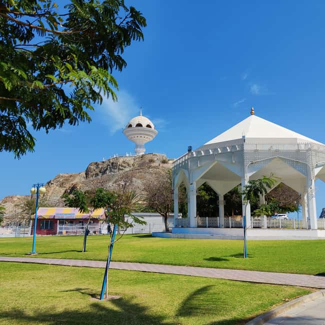 Muscat: Full-Day Private City Tour by luxury Car with Guide - Why a private car works well in Muscat