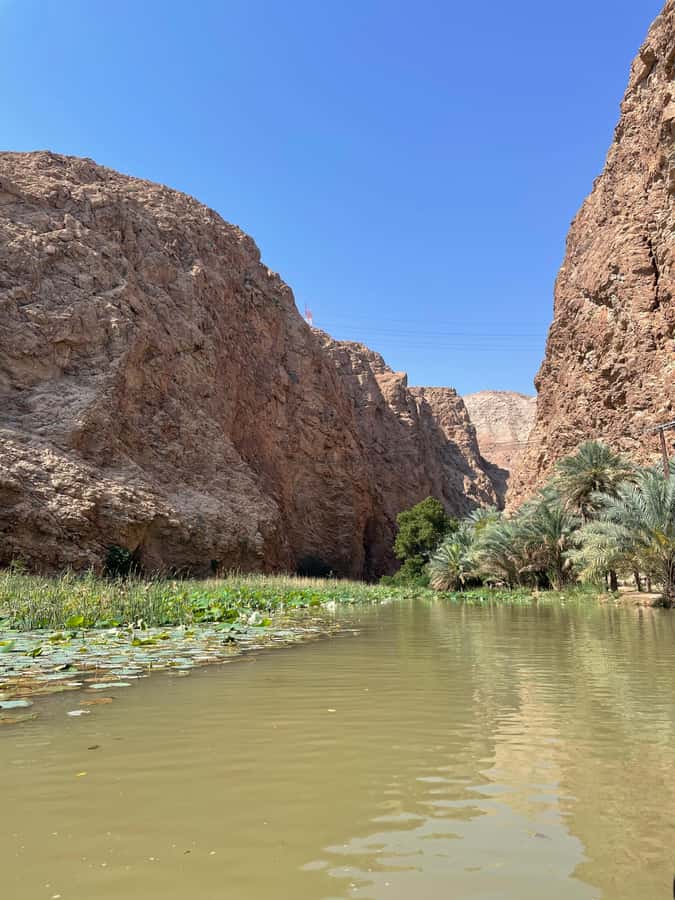Muscat: Full-Day Wadi Shab & Bimmah Sinkhole Private Tour - Why a private guide improves Wadi Shab