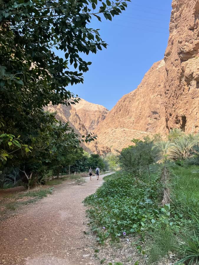 Muscat: Full-Day Wadi Shab & Bimmah Sinkhole Private Tour - Lunch and the return to Muscat