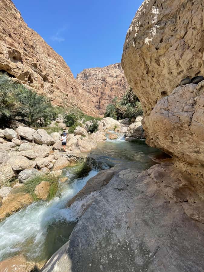 Muscat: Full-Day Wadi Shab & Bimmah Sinkhole Private Tour - Who should book this Oman nature tour?