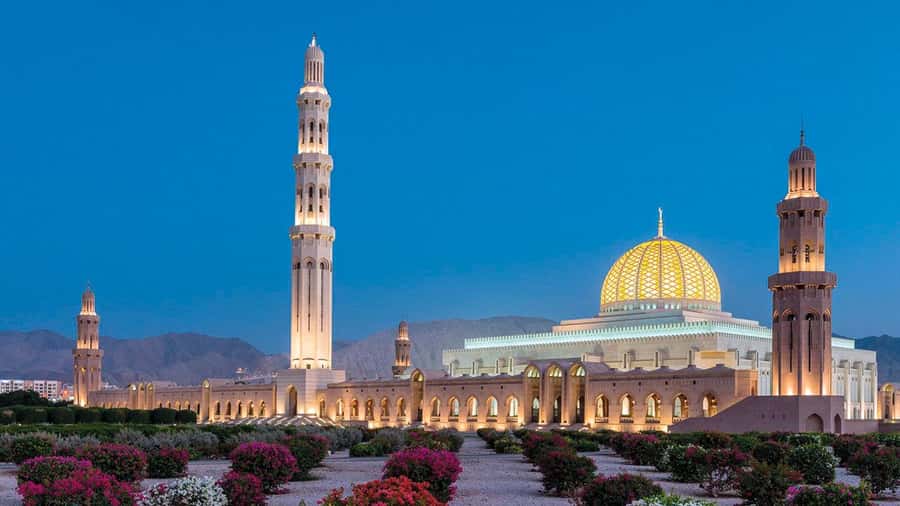 Muscat: Group City Tour with Pickup and Lunch or Dinner - A practical way to see Muscat in one outing