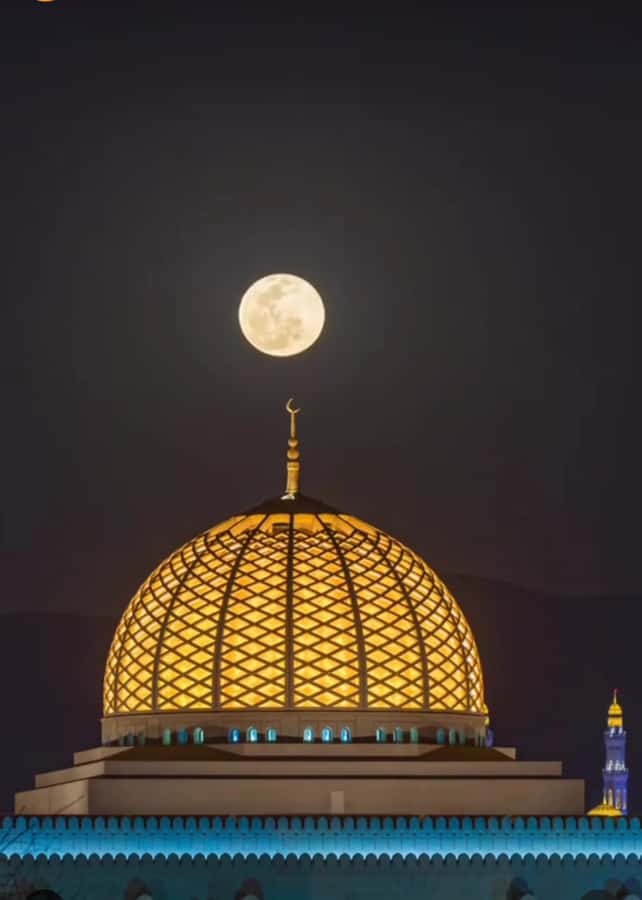 Muscat: Guided Landmarks Tour - Al Alam Palace and the old Muscat forts