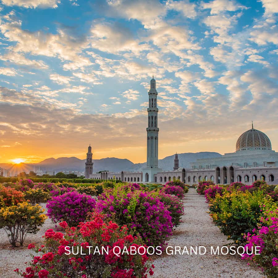 Muscat: Half-Day City Tour - Key points at a glance