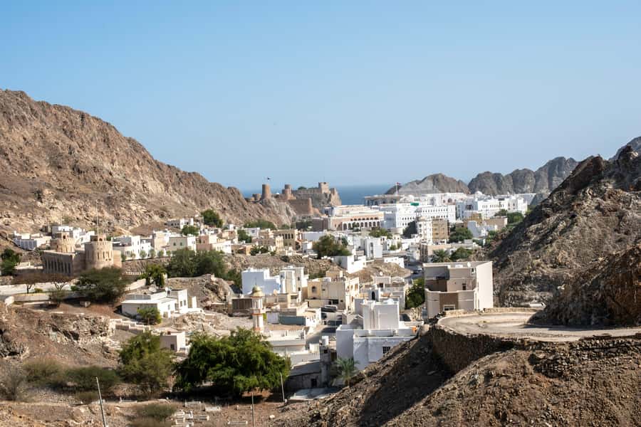 Muscat: Half Day-City Tour - Al Alam Palace and the Portuguese forts