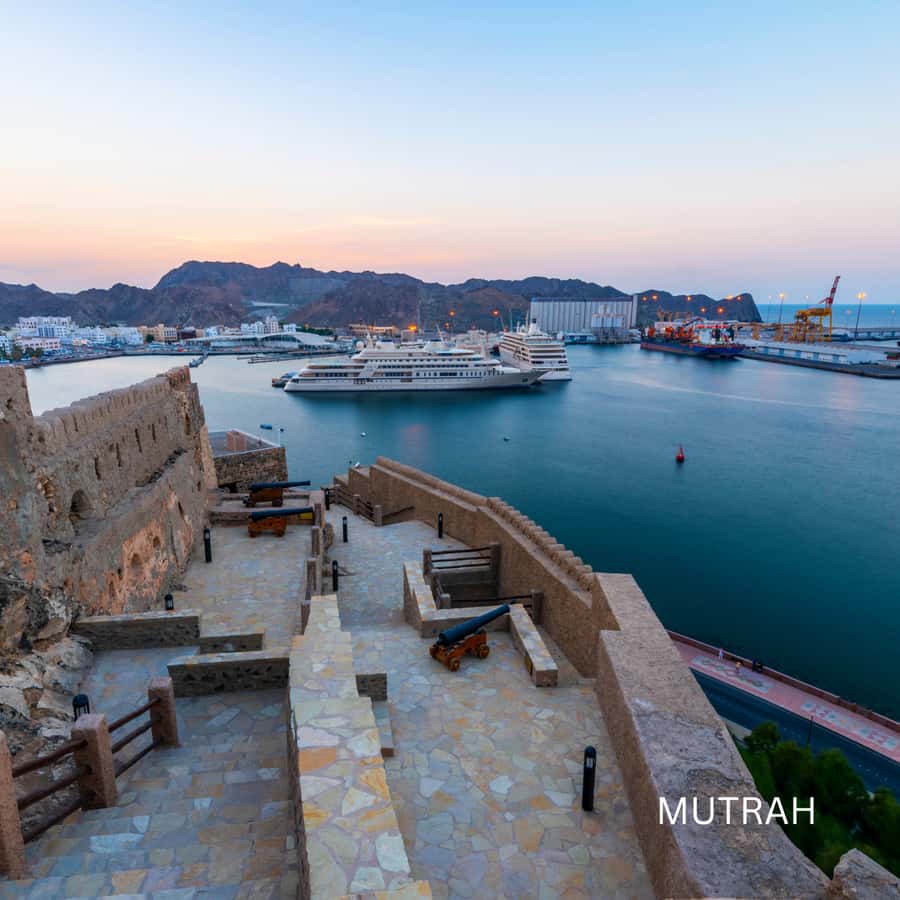 Muscat: Half Day-City Tour - Starting with the Sultan Qaboos Grand Mosque