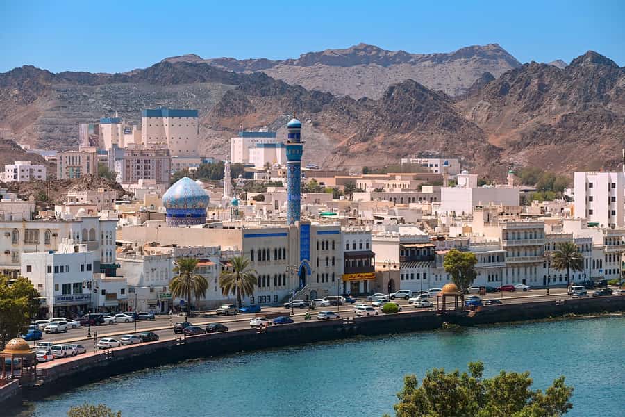 Muscat: Half-Day Sightseeing Essentials Tour and Audio Guide - The fish market: a brief, local stop