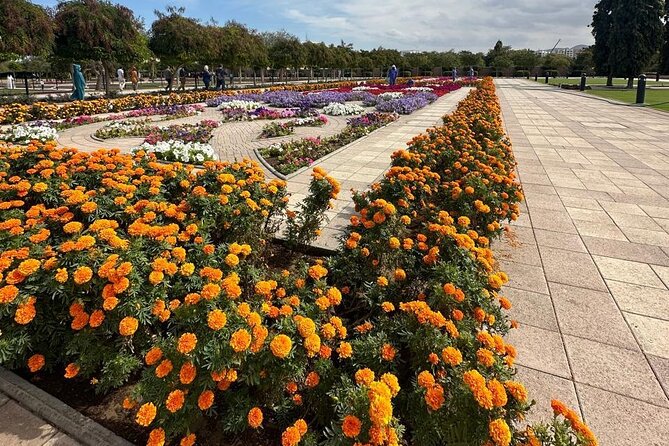 Muscat Hidden Gems Private City Tour with Different Languages - Why this Muscat tour feels more personal