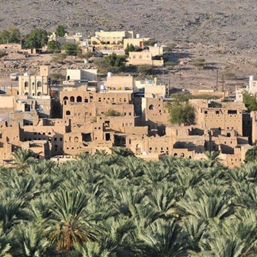 Muscat: Nizwa and Jabal Shams- Full Day Tour - Al Hamra, old loam houses and a slower view of Oman