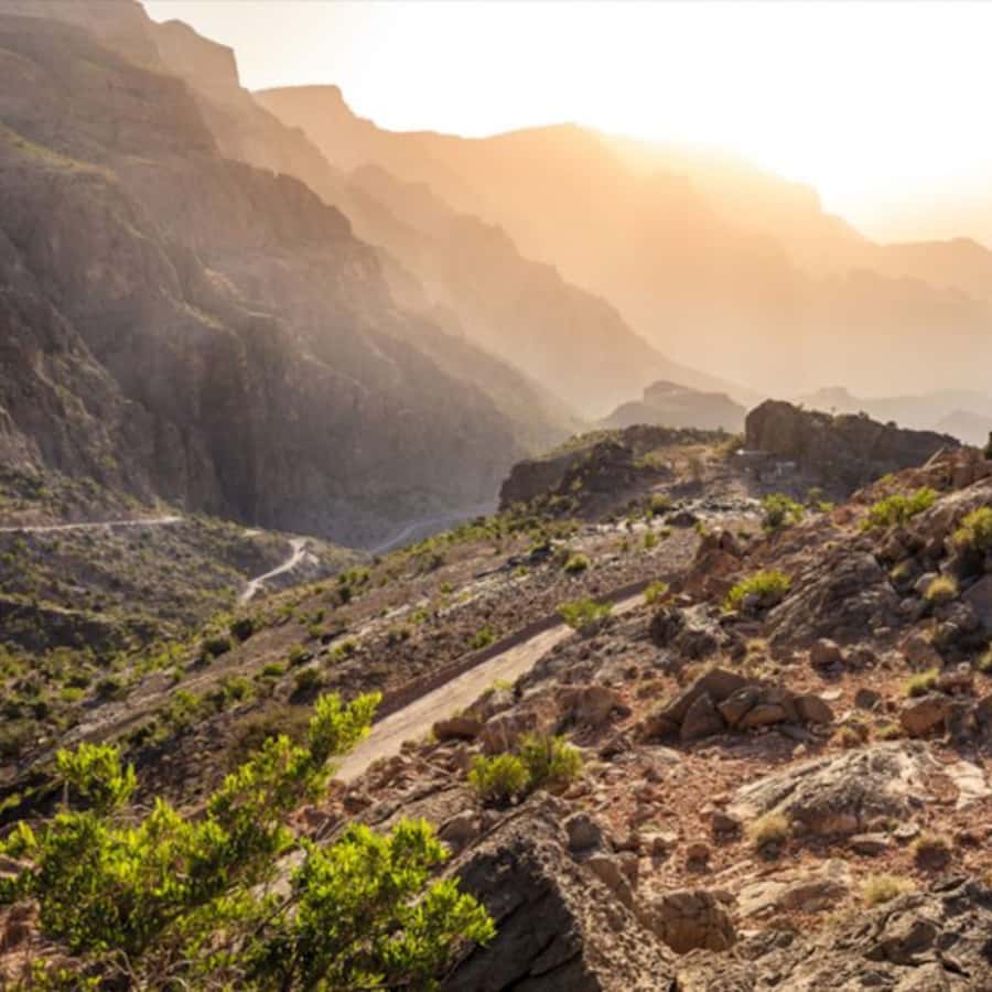 Muscat: Nizwa and Jabal Shams- Full Day Tour - Nizwa Souq, where the old city still feels useful