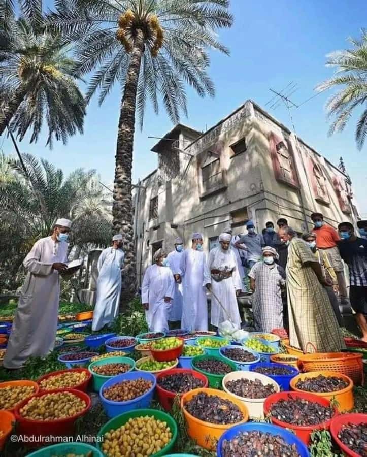 Muscat Oman Grand Canyon, Jebel Shams & Nizwa - Should You Book It?