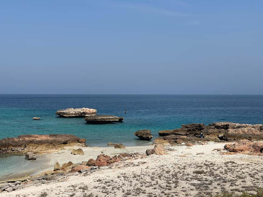 Muscat Oman: Snorkeling adventure to Daymaniyat Island - Swimming with turtles and spotting reef life