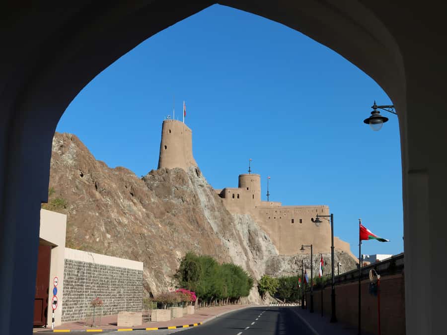 Muscat: Private Sightseeing Tour & Sultan Grand Mosque - What you will pay beyond the tour price