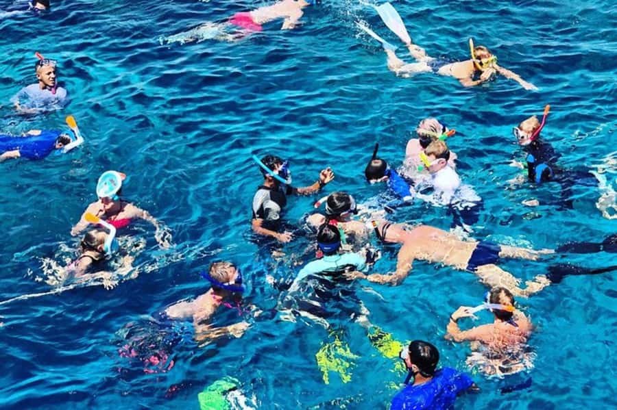 Muscat: Snorkeling and Dolphin Watching Tour - The main strengths, and one clear warning