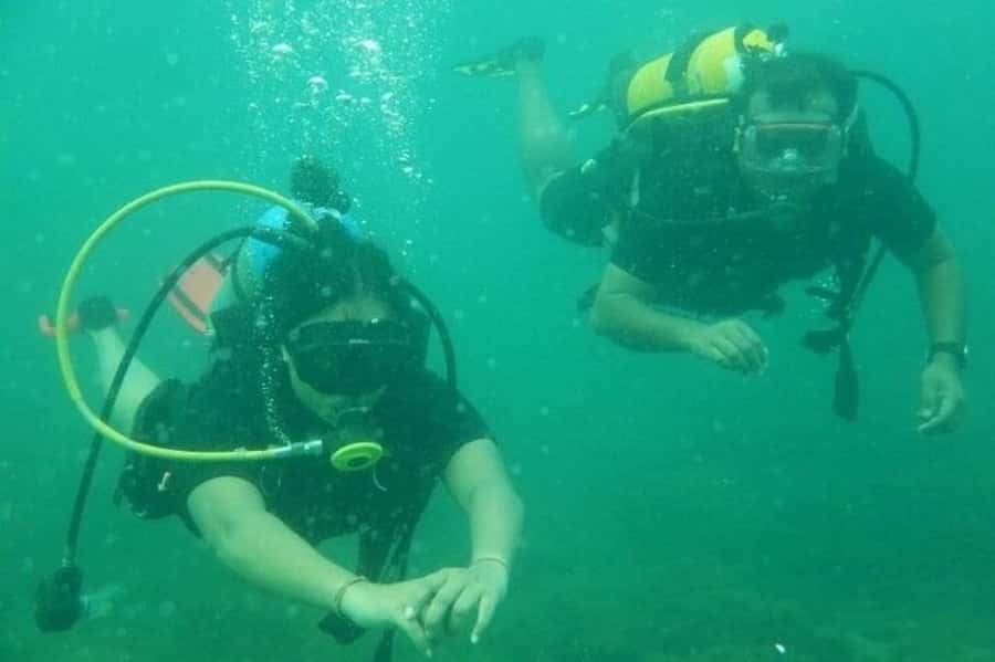 Muscat: Snorkeling and Dolphin Watching Tour - Should you book the Muscat snorkeling tour?