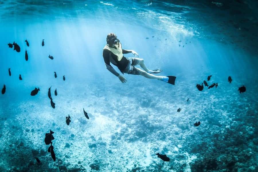 Muscat: Snorkeling and Dolphin Watching Tour - The boat ride out from Muscat