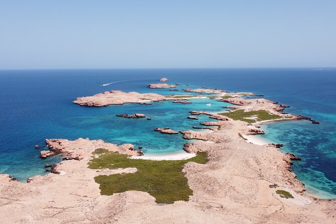 Muscat Snorkeling Trip to Daymaniyat Islands with BBQ lunch - Why the Daymaniyat Islands make a strong snorkeling day