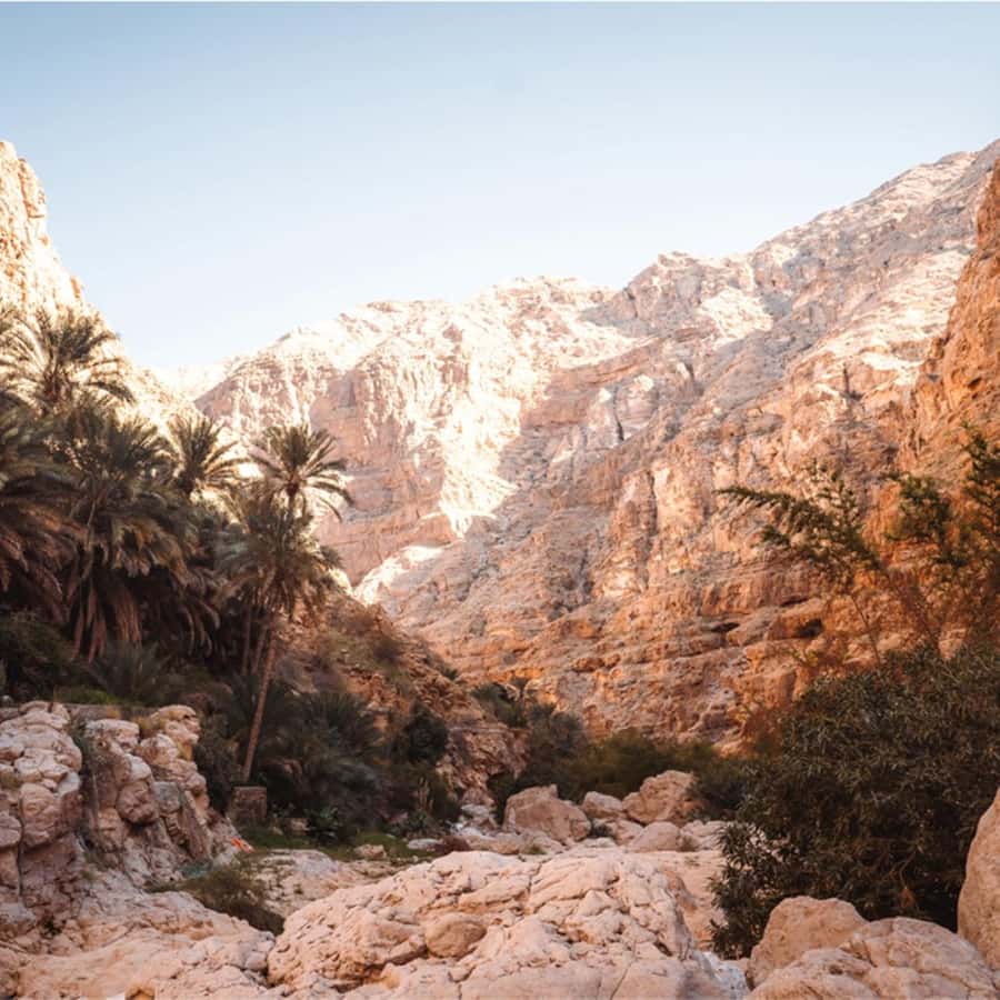 Muscat: Southern Treasures & Wadi Shab Tour with Audio Guide - Is $83 good value from Muscat?