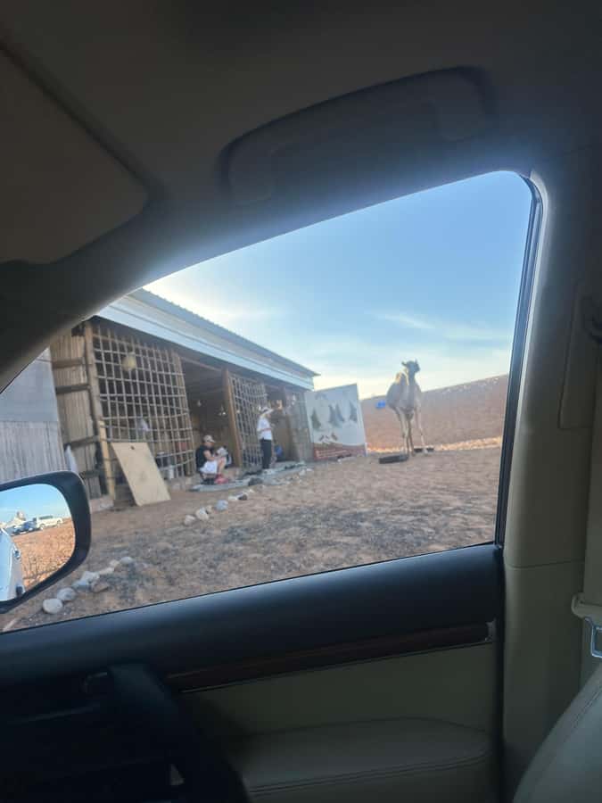 Muscat: Wadi Bani Khalid & Sunset at Wahiba Sands - My Verdict: A Smart Two-Stop Day With One Timing Risk