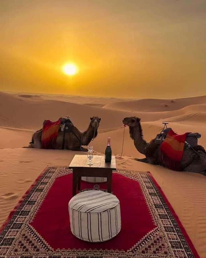 Muscat: Wadi Bani Khalid & Sunset at Wahiba Sands - FAQ