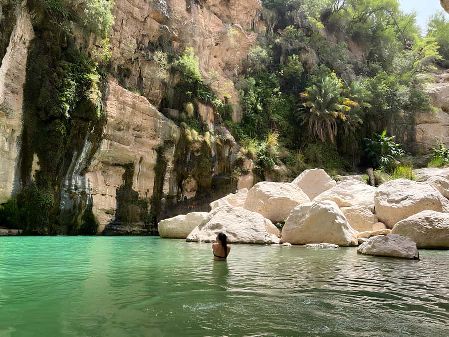 Muscat: Wadi Mibam Private Full Day Tour by 4x4 car - Local guidance makes Tiwi easier to understand