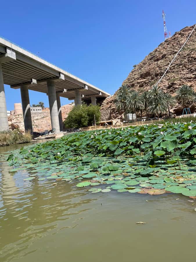 Muscat: Wadi Shab, Romantic Cave and Sinkhole Full-day Trip - Bimmah Sinkhole for a second swim