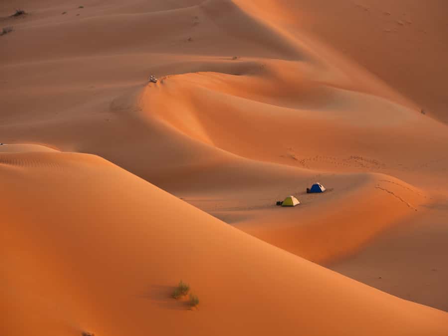 Muscat: Wahiba Sands Desert Sunset Tour with Dinner - Key points to know before booking