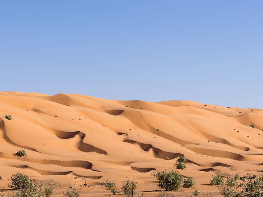 Muscat: Wahiba Sands Desert Sunset Tour with Dinner - Should you book the Wahiba Sands sunset tour?