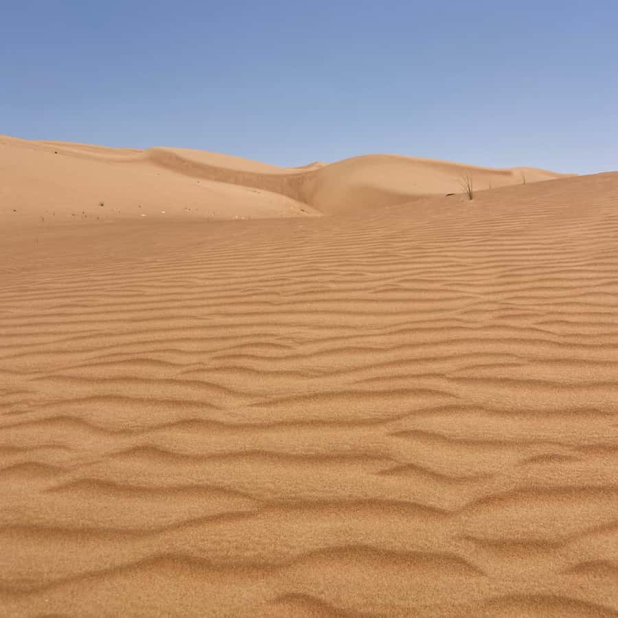 Muscat: Wahiba Sands Desert & Wadi Bani Khalid Full Day Tour - Key points to know before booking