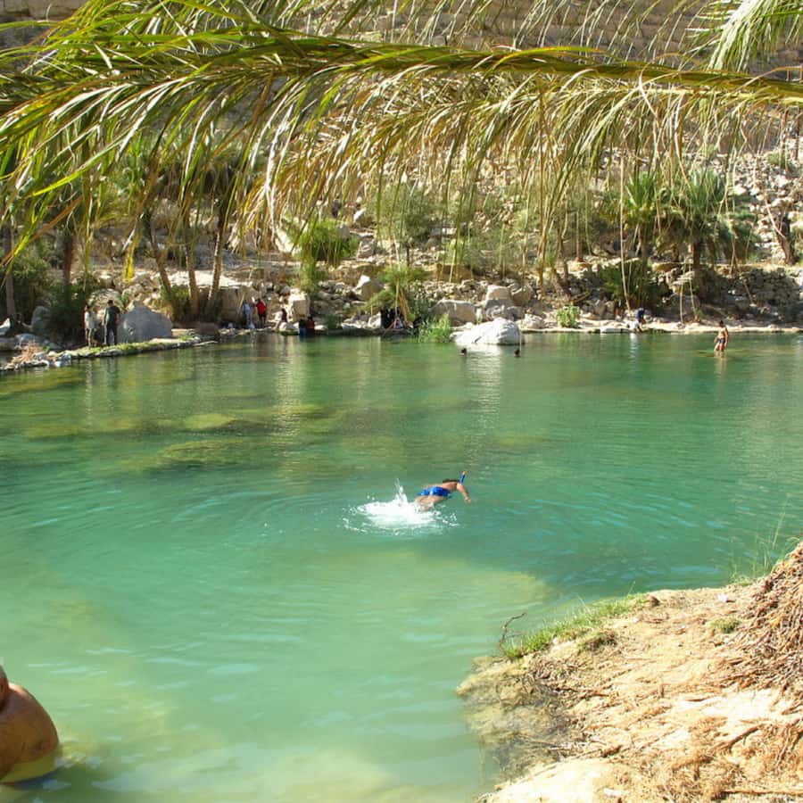 Muscat: Wahiba Sands Desert & Wadi Bani Khalid Full Day Tour - Practical advice for making the day easier