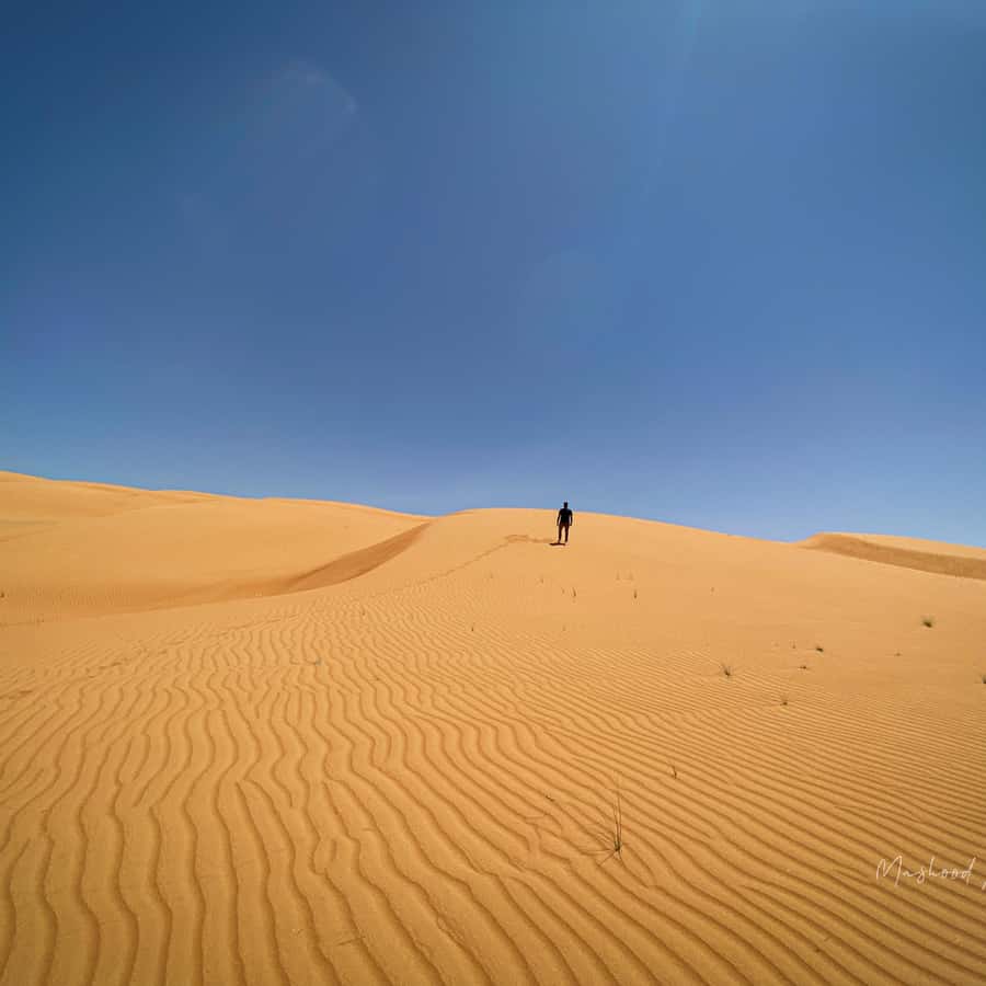 Muscat: Wahiba Sands Desert & Wadi Bani Khalid Full Day Tour - Wahiba Sands and two hours of dune driving