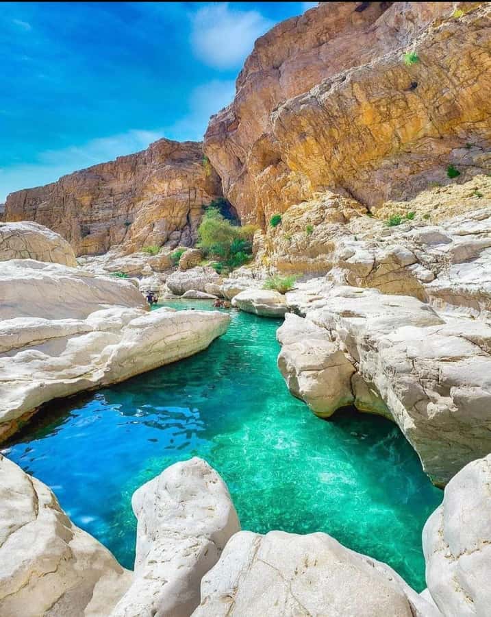 Muscat: Wahiba Sands & Wadi Bani Khalid Full-Day Tour+Lunch - Bedouin culture beyond the dunes