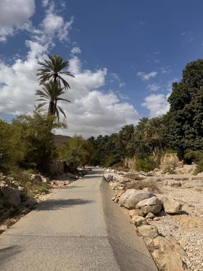 Muscat: Wahiba Sands & Wadi Bani Khalid Full-Day Tour+Lunch - Who should book this private day trip