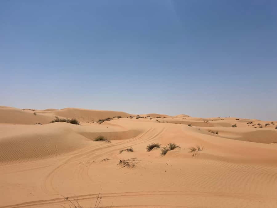 Muscat: Wahiba Sands, Wadi Bani Khalid & Mudayrib Tour - One day, three very different sides of Oman