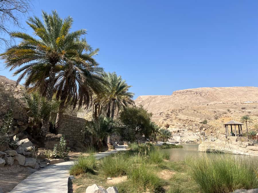 Muscat: Wahiba Sands, Wadi Bani Khalid & Mudayrib Tour - Swimming in the turquoise pools
