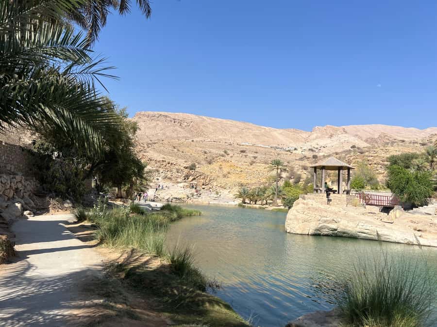 Muscat: Wahiba Sands, Wadi Bani Khalid & Mudayrib Tour - Tea, snacks, and the road home