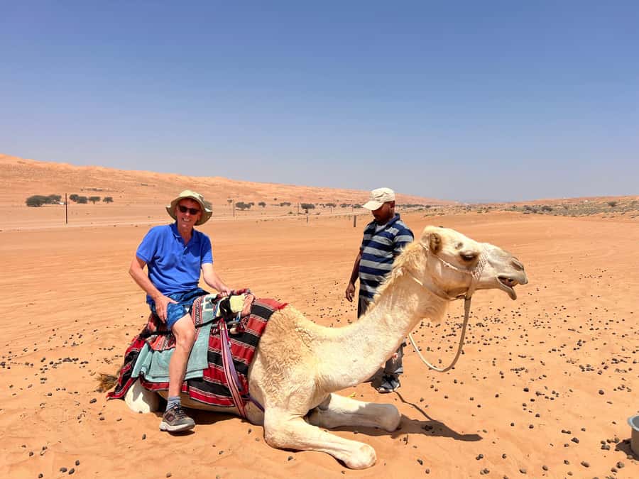Muscat: Wahiba Sands, Wadi Bani Khalid & Mudayrib Tour - Wahiba Sands and the art of driving dunes