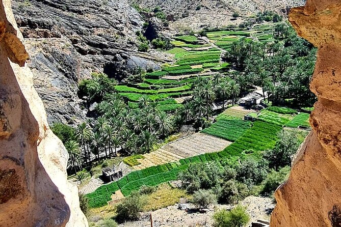 Nakhal Fort-Nakhal Hotspring-Wadi Bani Awf-Bilad Sayt - Private Full Day Tour - The private 4WD format and named guides