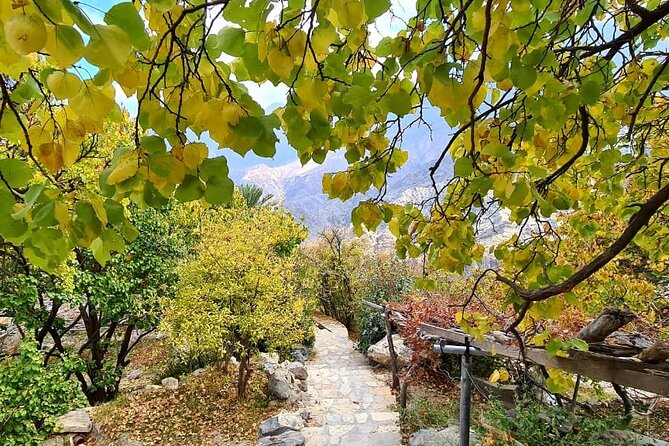Nakhal Hotspring and Wakan Village Private Full Day Tour - What the $173.60 price really buys